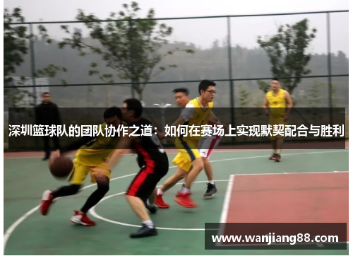 深圳篮球队的团队协作之道：如何在赛场上实现默契配合与胜利