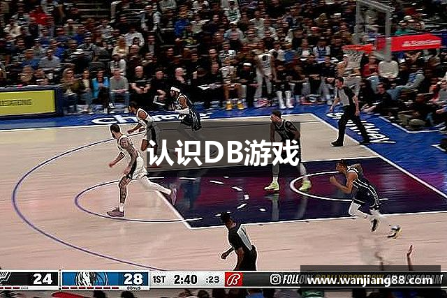 认识DB游戏